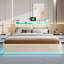 Upholstered Ottoman Storage Bed-445345813-445345815