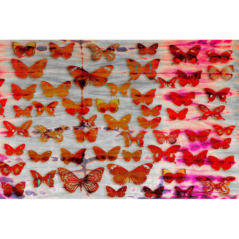 Parvez Taj - Wrapped Canvas Print, 61cm H x 91cm W x 3.81cm D