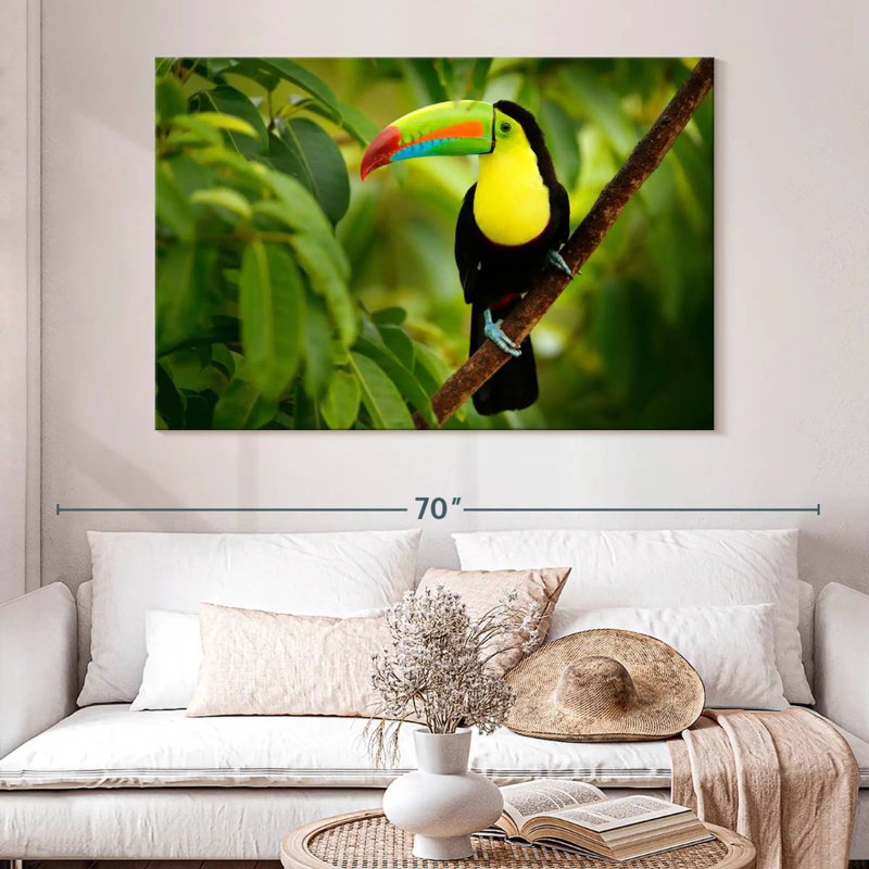 Toucan ronce sur un arbre, H 34 po x l 51 po