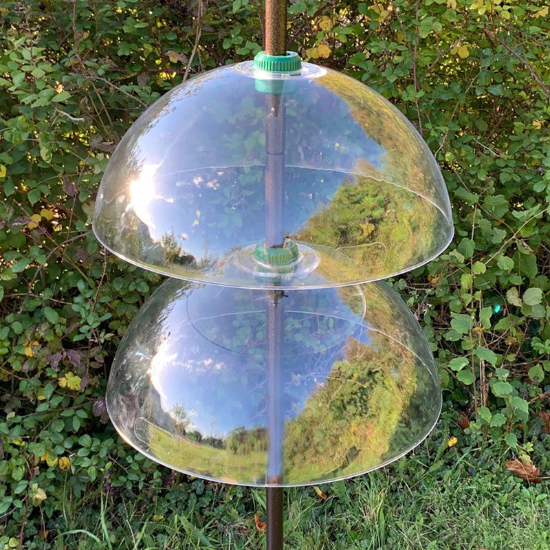 Kym Plastic Squirrel Guard