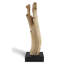 Driftwood On Stand