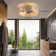 Jaybin Low Profile Caged Ceiling Fan Light with Remote