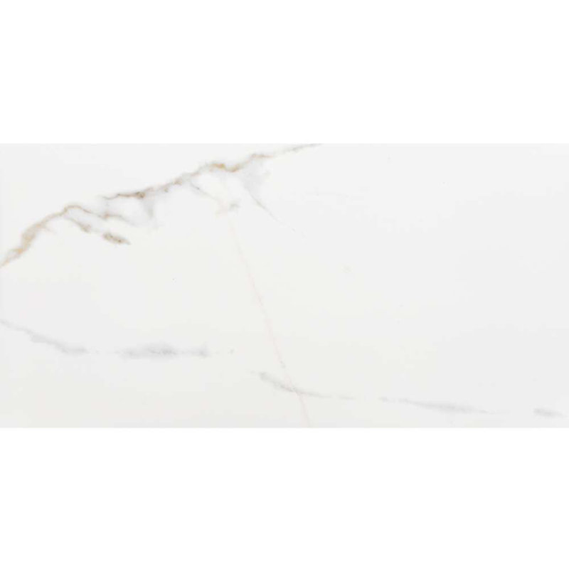 Carreau de porcelaine 13 po x 26 po
