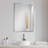 Khloee Stainless Steel Rectangle Mirror