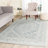 Arrietty Oriental Machine Made Area Rug in Sage/Ivory-1501636614-1513964572