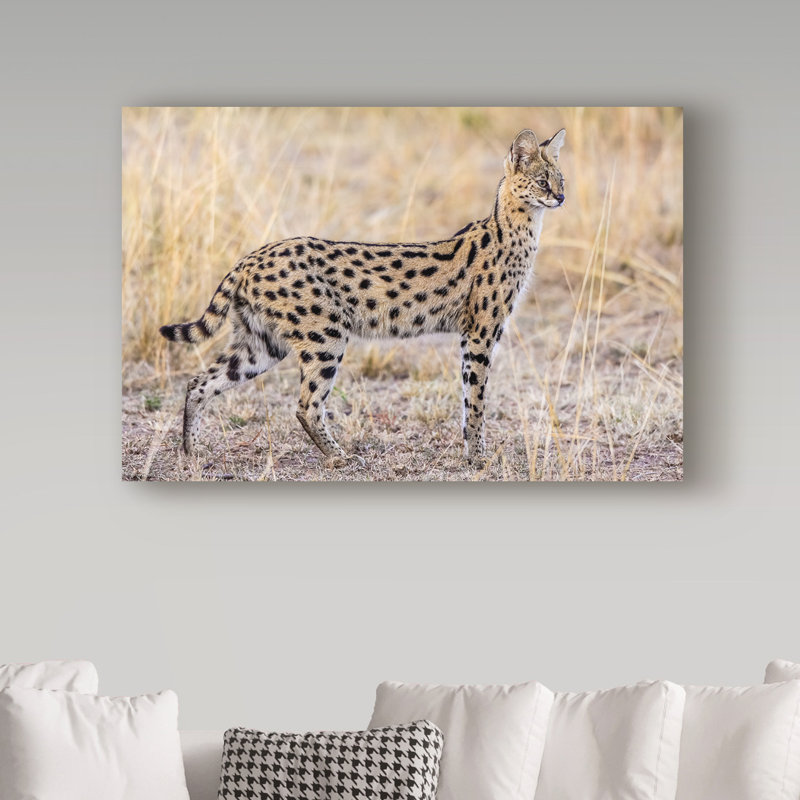 « servo-chasse », reproduction de photo sur toile tendue, H 16 po x l 24 po x P 2 po