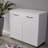 Two Door Side Table-White