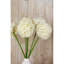 Arrangement-111171287-111171283