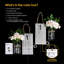 Lampe murale Mason