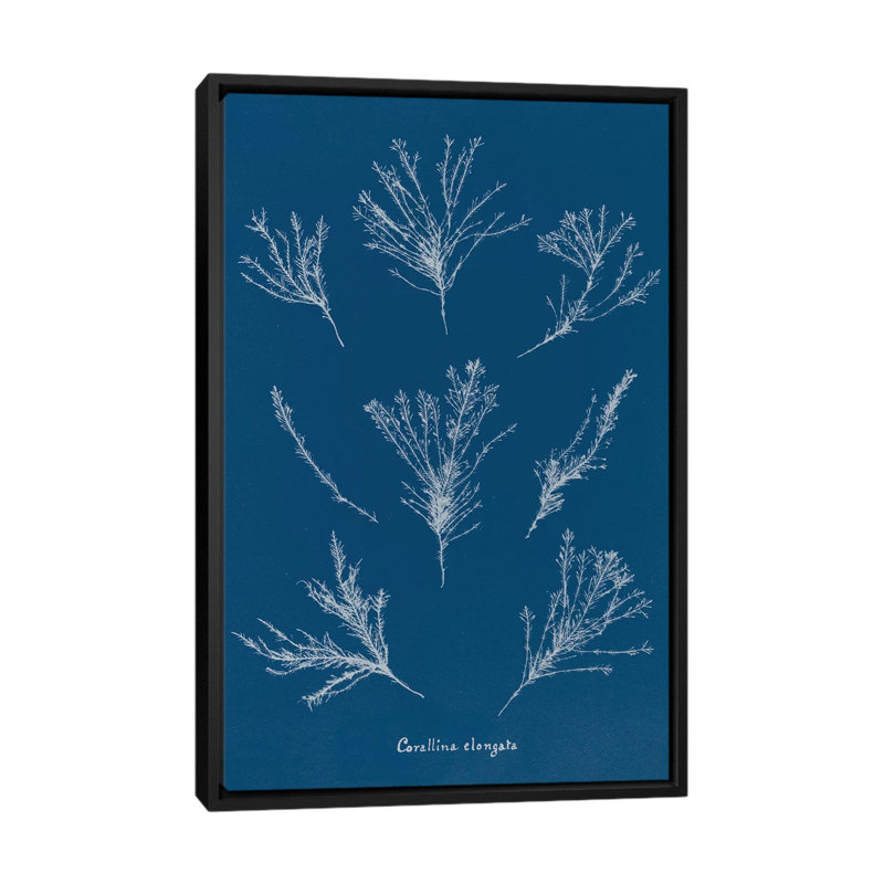 « délicat corail i », impression sur toile, H 26 po x l 18 po x P 1,5 po, Toile avec cadre noir, Pas de tapis