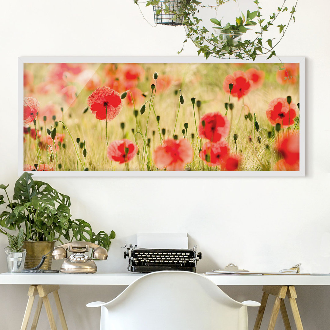 Gerahmtes Poster Summer Poppies