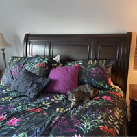 Lark Manor Cleasby Microfiber Floral Comforter Set & Reviews