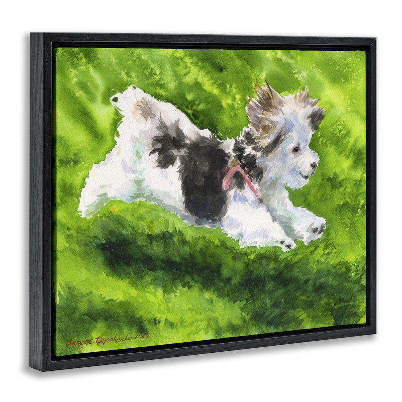 Cadre flottant Happy Maltipoo, design par George Dyachenko, Cadre flottant noir de jais, H 17 po x l 21 po