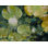 " Lotus Pond Serenity Series V " by Ruth Hayes