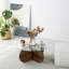 Glorias Coffee Table-106668629