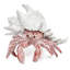 Figurine réaliste de crabe ermite avec coquille blanche-181010304-181010310