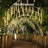 492'' LED String Lights