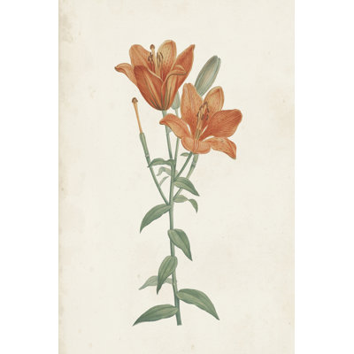 Classic Botanicals V