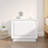 Nikolov Side Table with Storage-160002080