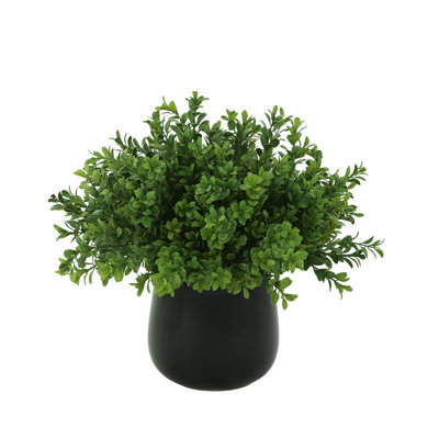 Faux Boxwood Plant in Glass Vase