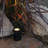 Low Voltage Plug-in Integrated LED Spotlight