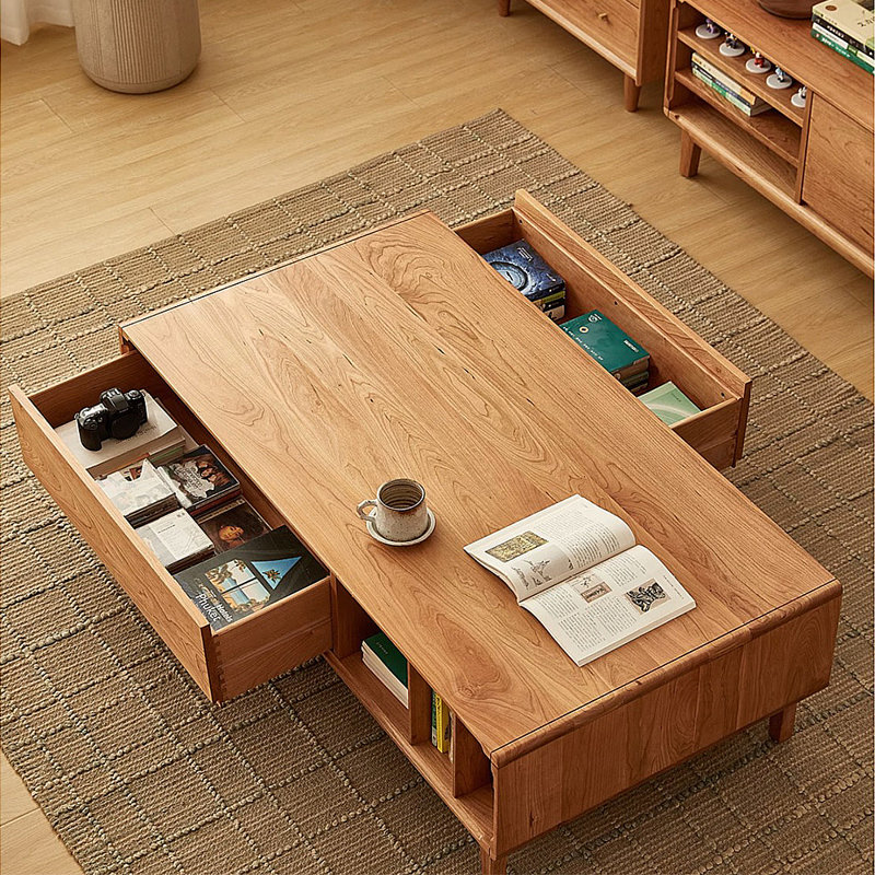 Table basse moderne avec rangement minimaliste, H 16,93 po x L 55,12 po x l 29,53 po