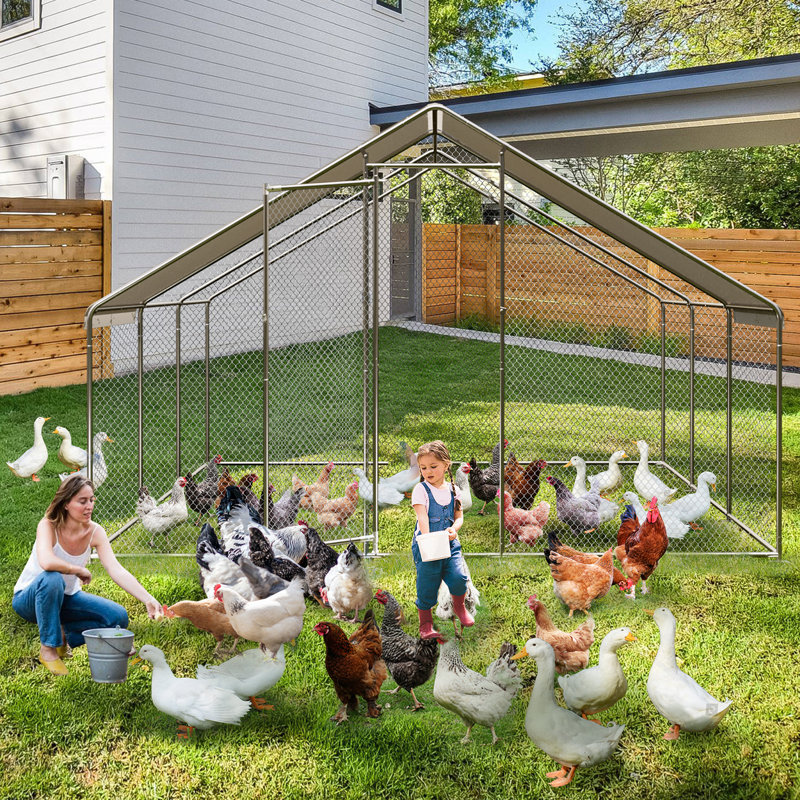 12m² Chicken Coop, 200cm H x 300cm W x 600cm D