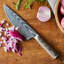 Bobby Flay by GreenPan Stainless Stel 13-Piece Knife Block Set