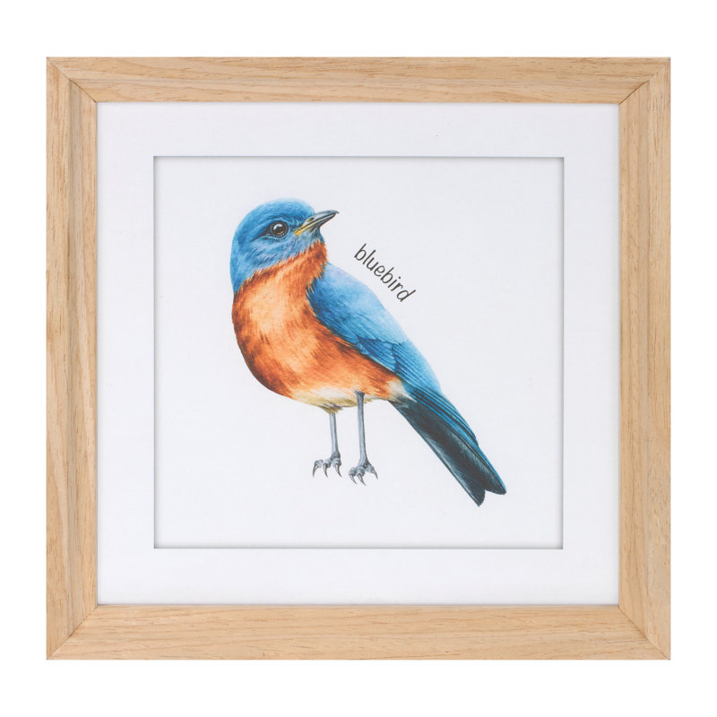 Framed Bird Print Under Glass