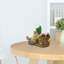 Swanley Pot Planter-1452099369
