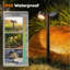 Polished Nickel Solar Powered Pathway Light