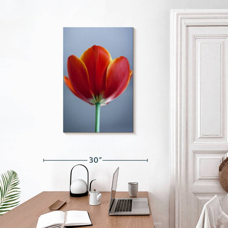 Tulipe rouge Harnek, H 30 po x l 20 po