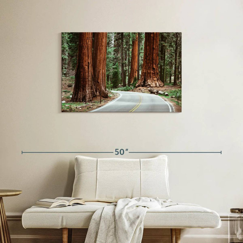 Harnek Sequoia Park Road, H 24 po x l 36 po