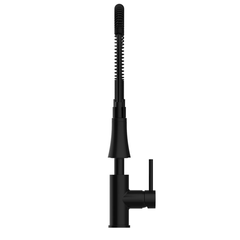 Spencer Pull Down Single Handle Kitchen Faucet