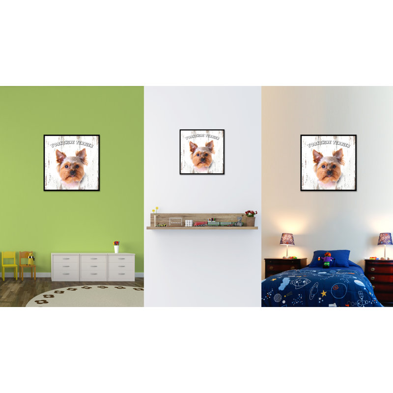 Yorkshire Terrier, reproduction sur toile, 30 x 30, H 30 po x l 30 po