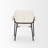 Gloriette 19.62'' H Upholstered Metal Armchair-61600910