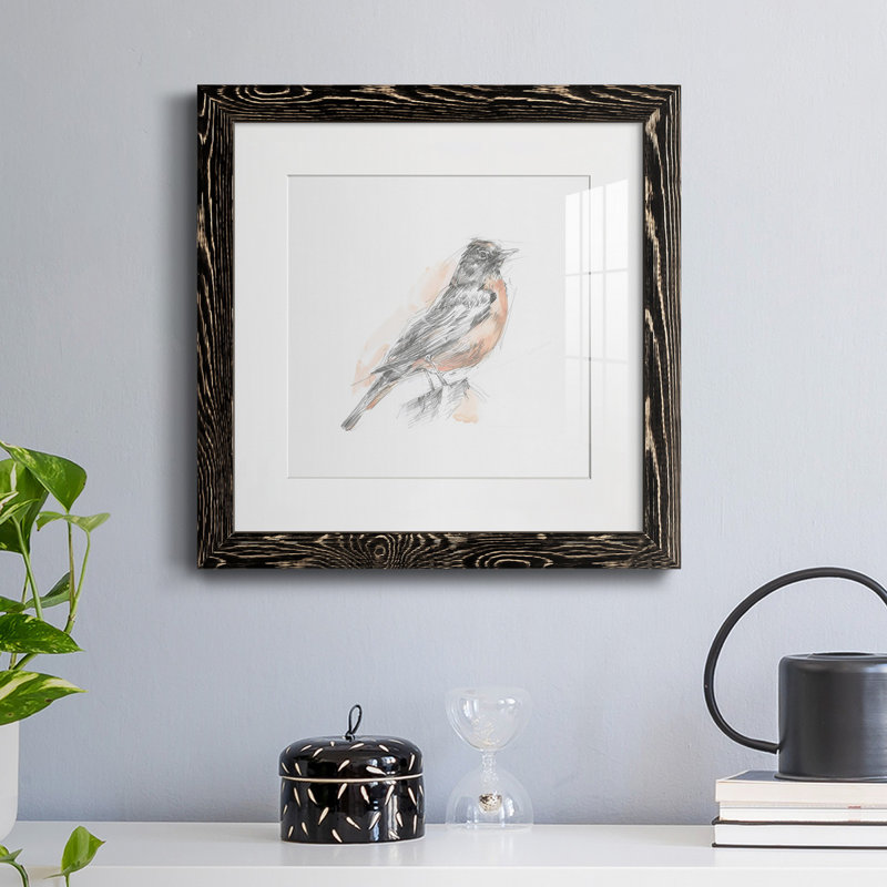 12_Robin Bird S croquis I-Premium, reproduction encadrée - prêt à être accroché, H 35,5 po x l 35,5 po x P 1,5 po, Cadre noir