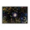 «Night Garden with Moth», estampe numérique, design par Episodic Dessins