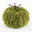 11'' Faux Moss Topiary