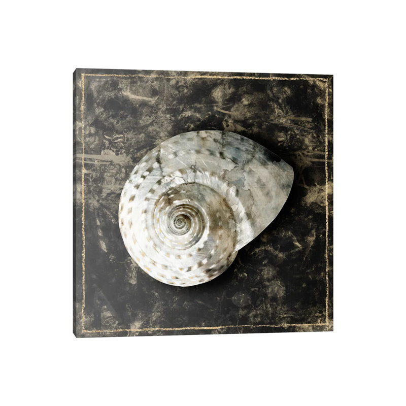 Marble Shell Series II, 45.72 cm H x 45.72 cm W x 1.91 cm D