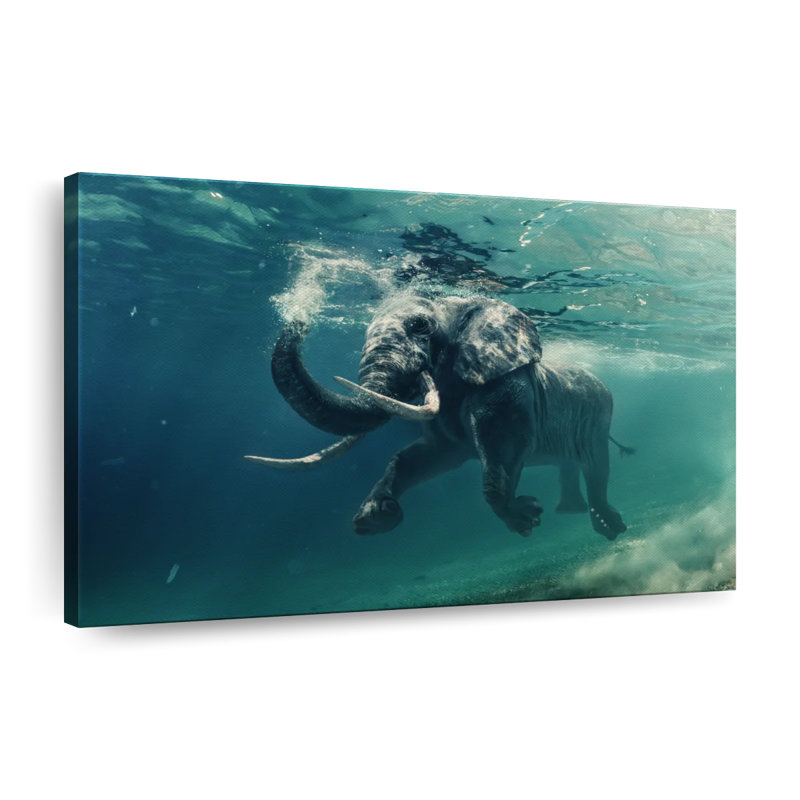 «Natation éléphant», reproduction sur toile tendue, H 20 po x l 30 po x P 1,25 po