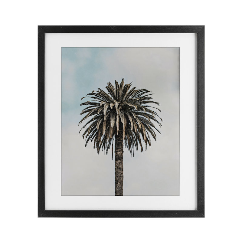 Imprimé Centric Elegant Palm encadré sous verre, design par LSR Design Studio, Cadre noir minuit, H 21 po x l 17 po