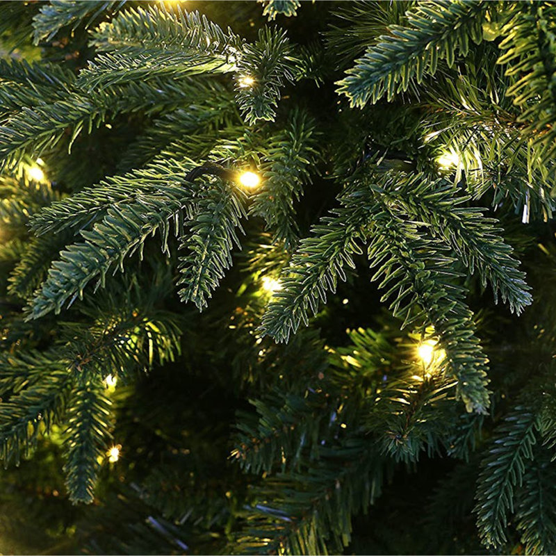 Lighted Christmas Tree