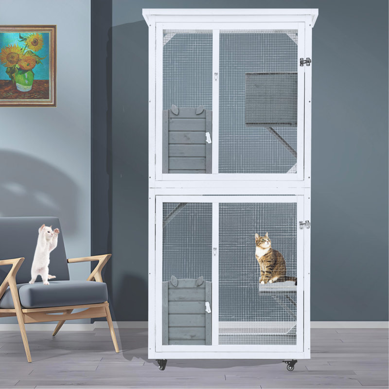 Cage de jeu d'extérieur pour chat
