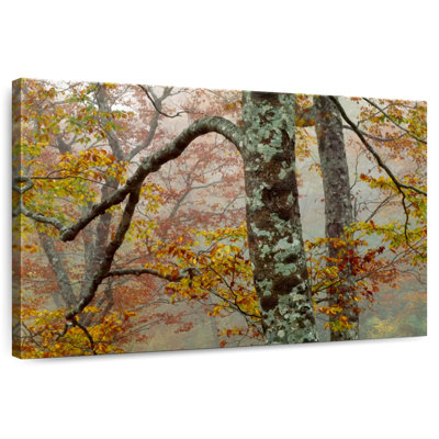 Harnek Fall's Fog III