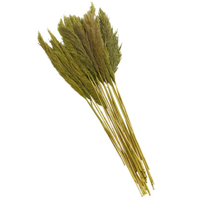 Dried Plant Grass Pampas Decor Natural Foliage with Long Stems