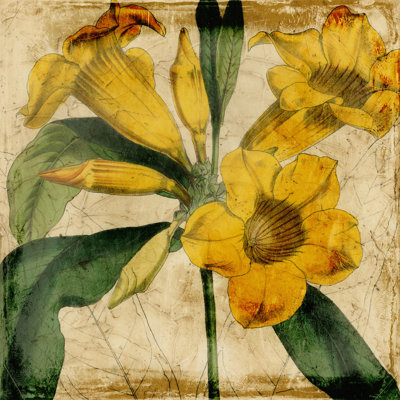 Vibrant Floral V by Vision Studio - Wrapped Canvas Print
