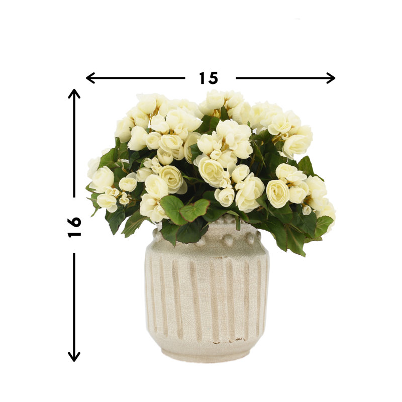 Begonia Arrangement In Ceramic Vase, White
