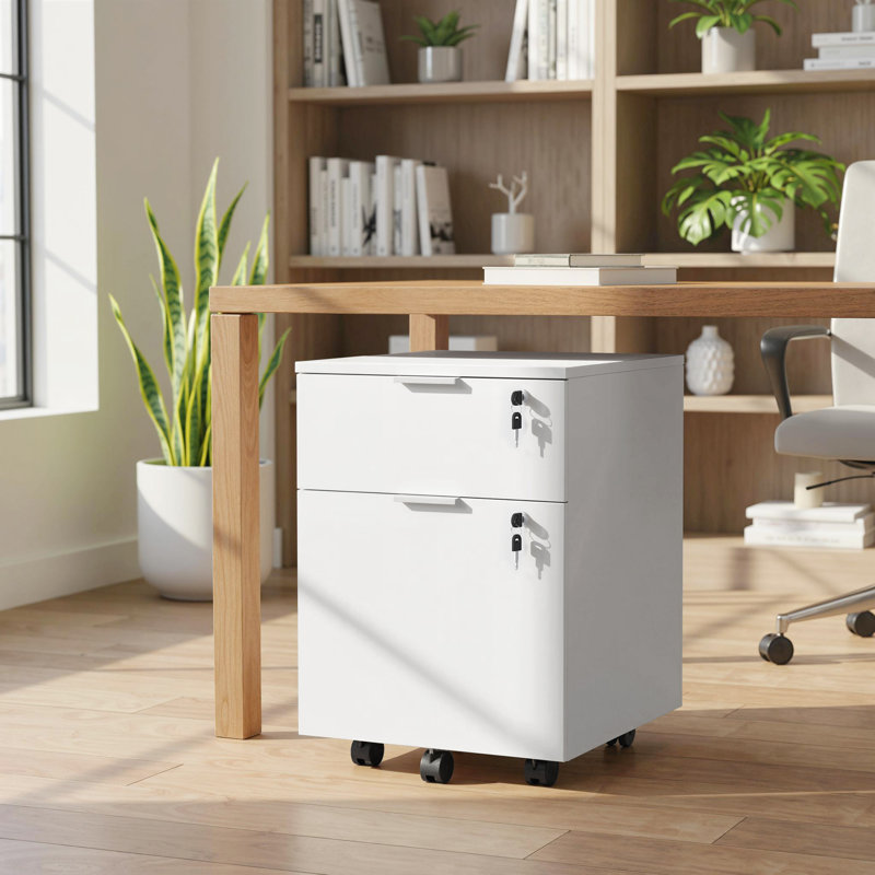42cm Wide 2 -Drawer File Cabinet, White/White