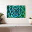 «Live Succulent», reproduction sur toile-92279631